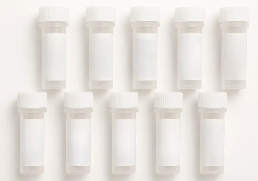 CEACAM5 293T Cell Transient Overexpression Lysate(Denatured)